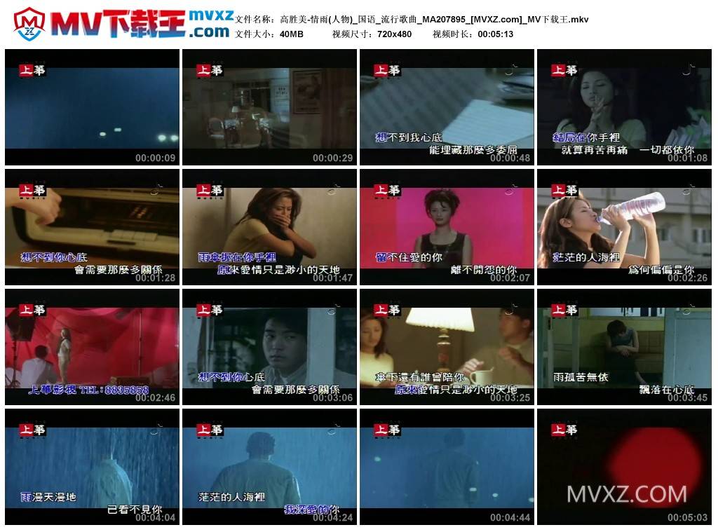 高胜美-情雨(人物)_国语_流行歌曲_MA207895